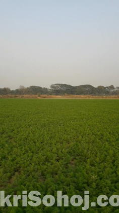 এই জমি বিক্রি করা হবে